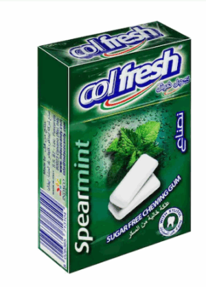 Colfresh Gum Spearmint Sugarfree 21G