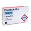 Flucloxacillin 500Mg Capsules 100's